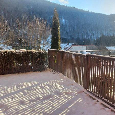 Apartamento Belleview Garden Studio Sinaia Exterior foto