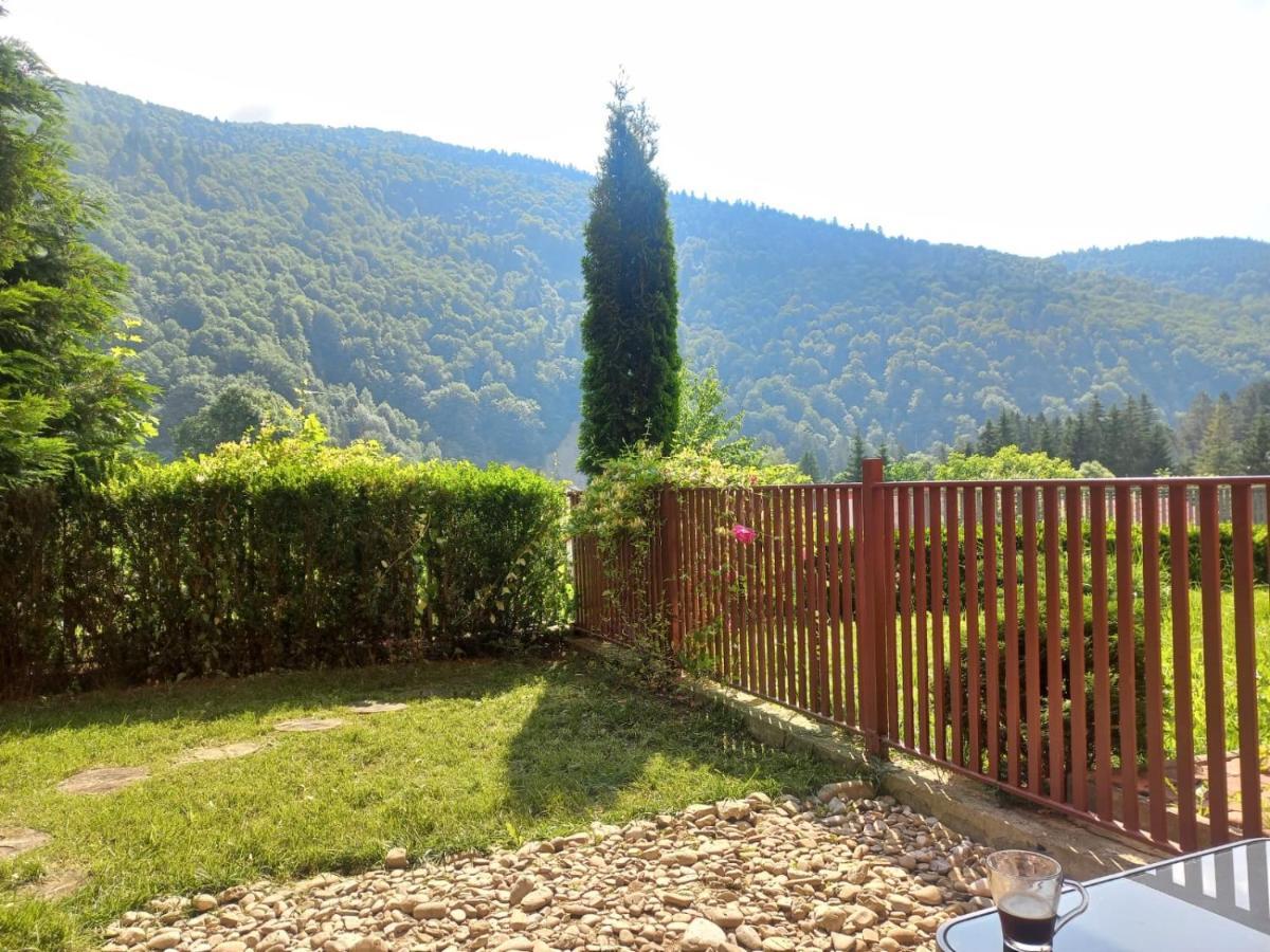 Apartamento Belleview Garden Studio Sinaia Exterior foto