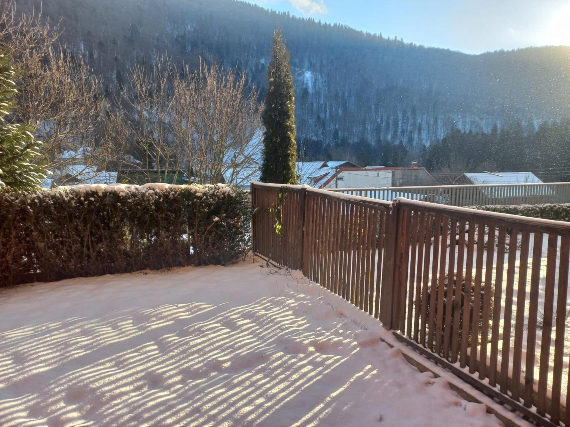 Apartamento Belleview Garden Studio Sinaia Exterior foto